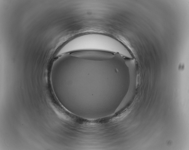 X0000091930205200709121605