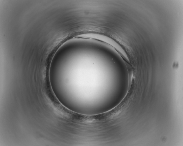 X0000091930206200709121605