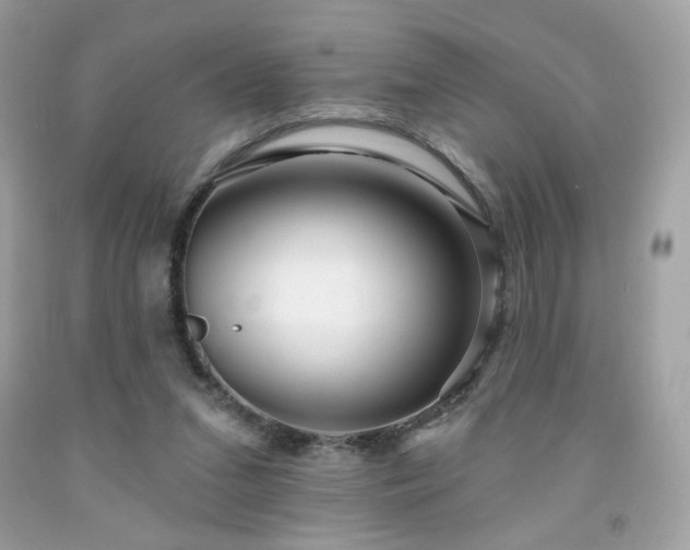 X0000091930207200709121605