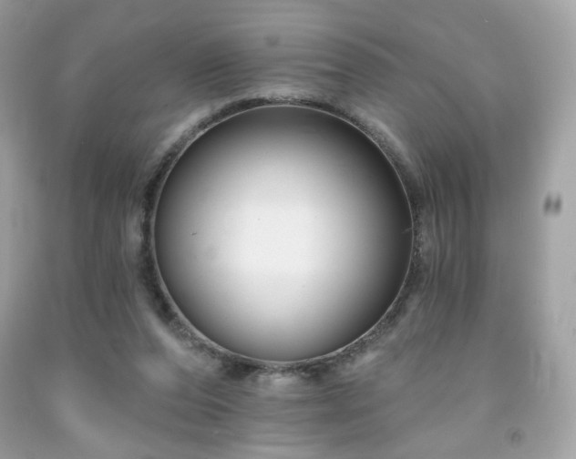 X0000091930208200709121605