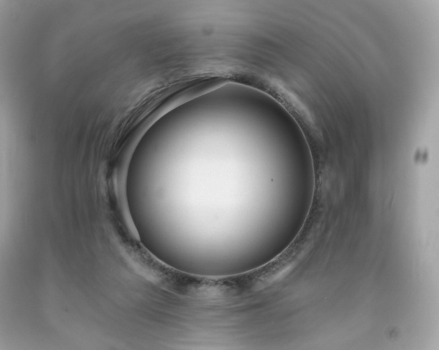 X0000091930209200709121605