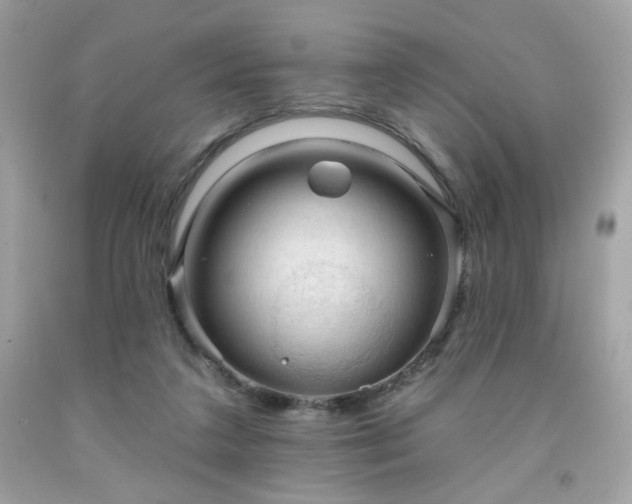 X0000091930211200709121605