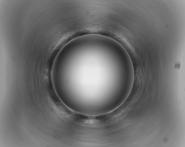 X0000091930212200709121605