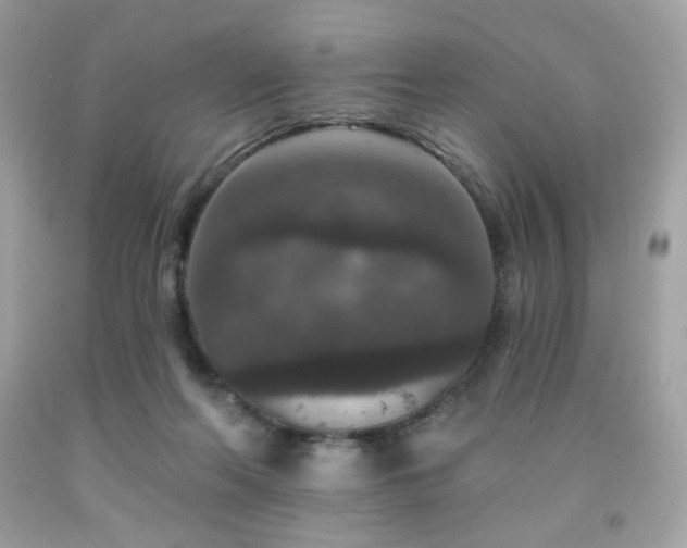 X0000091930214200709121605