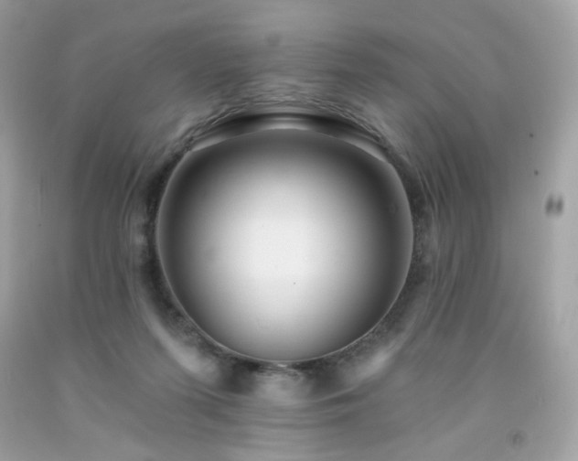 X0000091930215200709121605