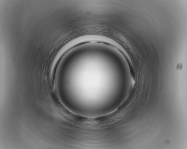 X0000091930217200709121605