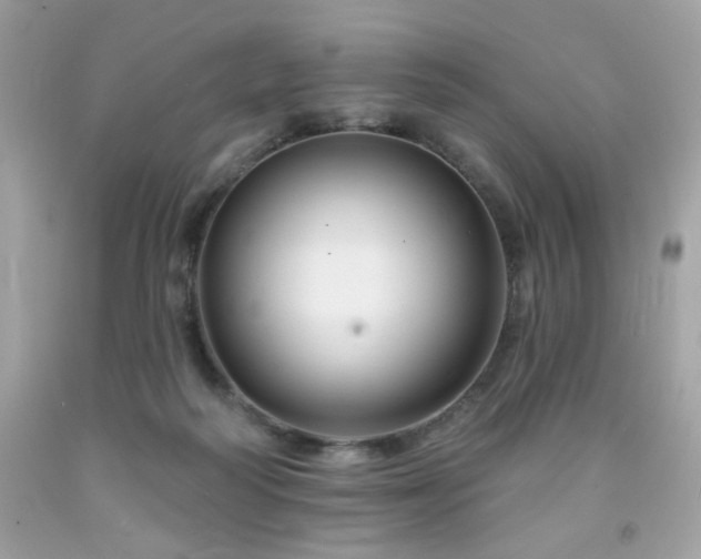X0000091930218200709121605