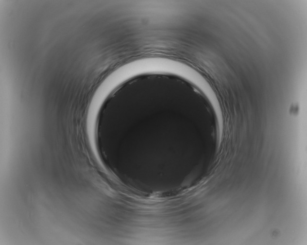X0000091930219200709121605