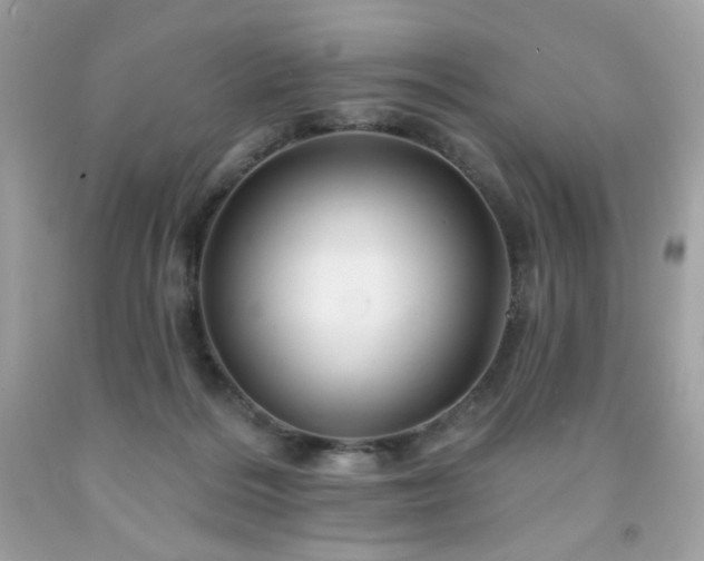 X0000091930220200709121605