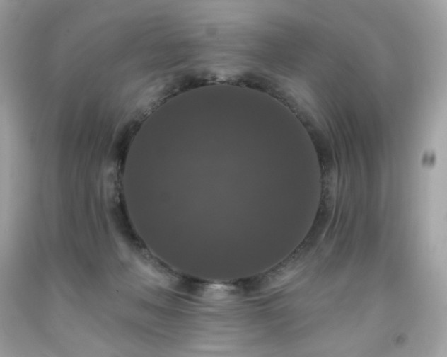 X0000091930222200709121605