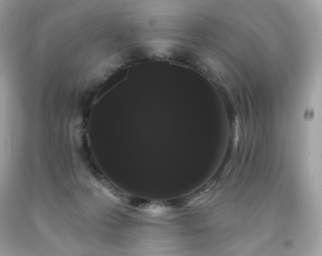 X0000091930223200709121605