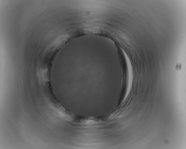 X0000091930224200709121605
