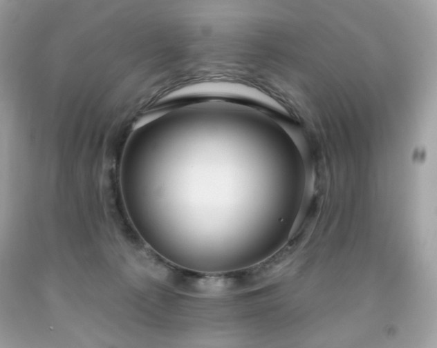 X0000091930225200709121605