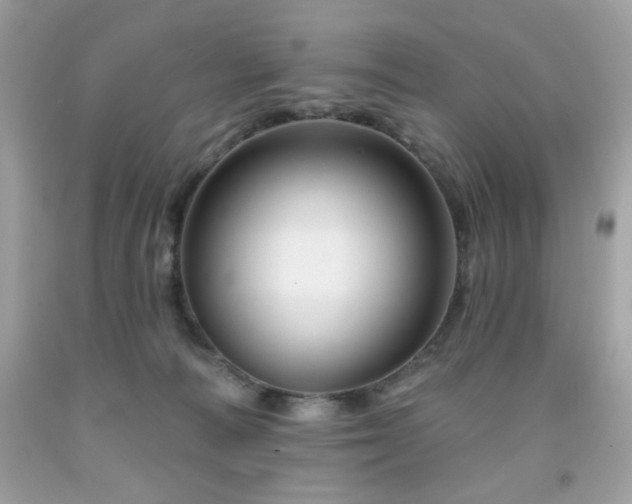 X0000091930226200709121605