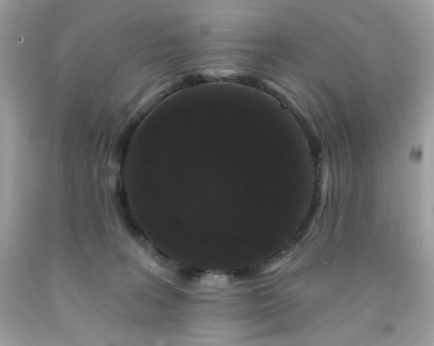 X0000091930227200709121605