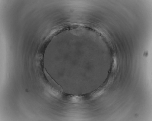 X0000091930229200709121605