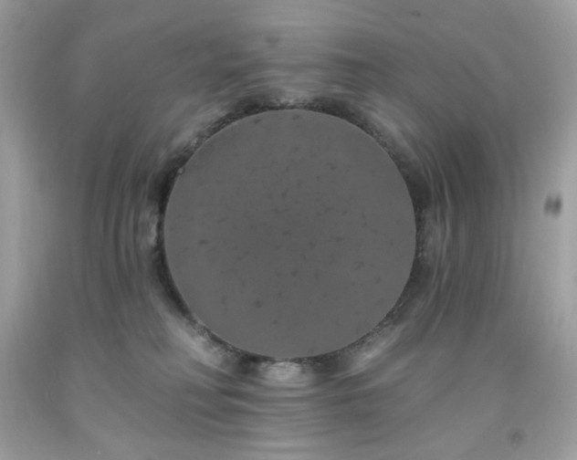 X0000091930230200709121605