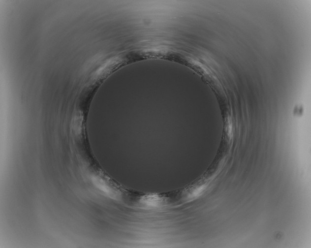 X0000091930231200709121605