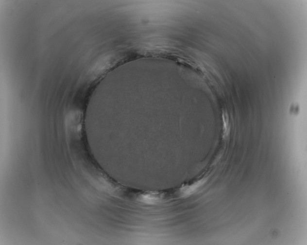 X0000091930232200709121605
