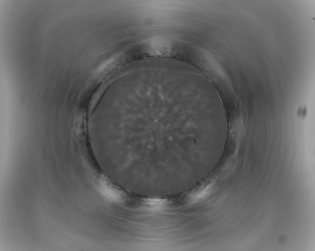 X0000091930233200709121605