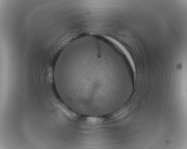 X0000091930234200709121605