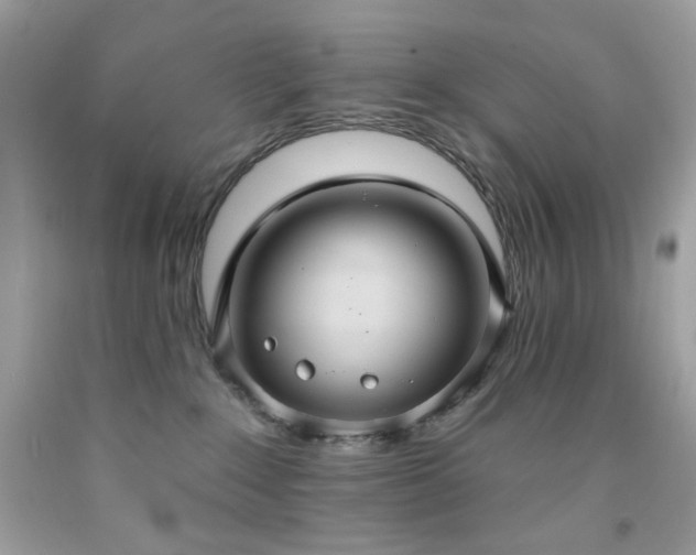 X0000091930235200709121605