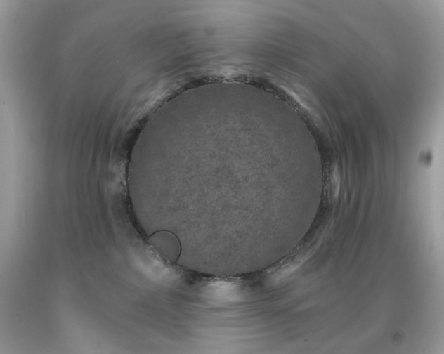 X0000091930236200709121605