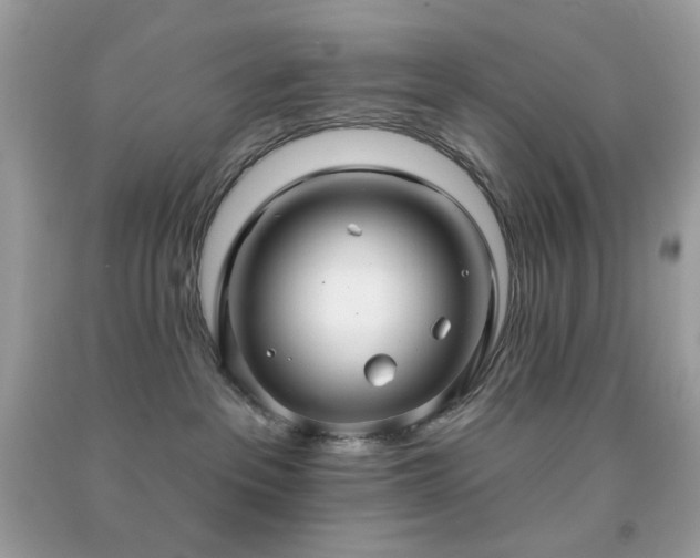 X0000091930237200709121605