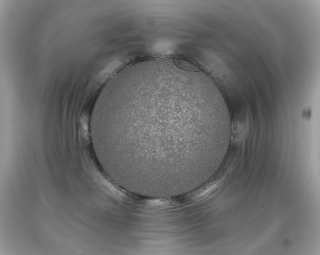 X0000091930238200709121605