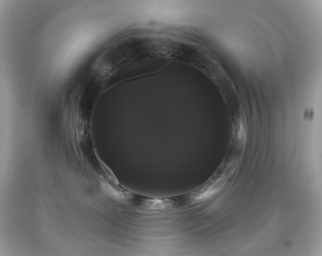 X0000091930239200709121605