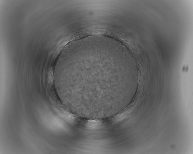 X0000091930240200709121605