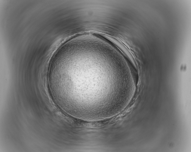 X0000091930241200709121604
