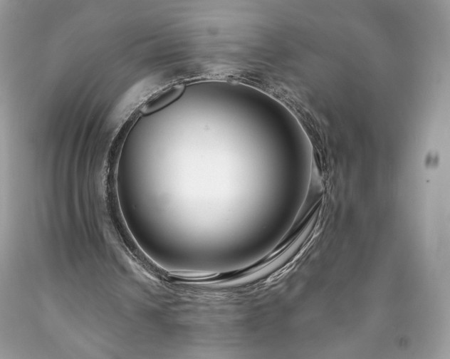 X0000091930242200709121604