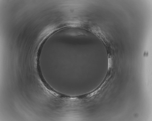 X0000091930243200709121604