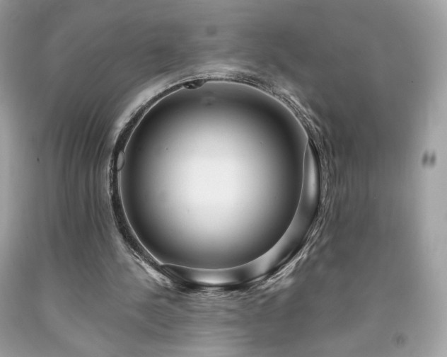 X0000091930244200709121604