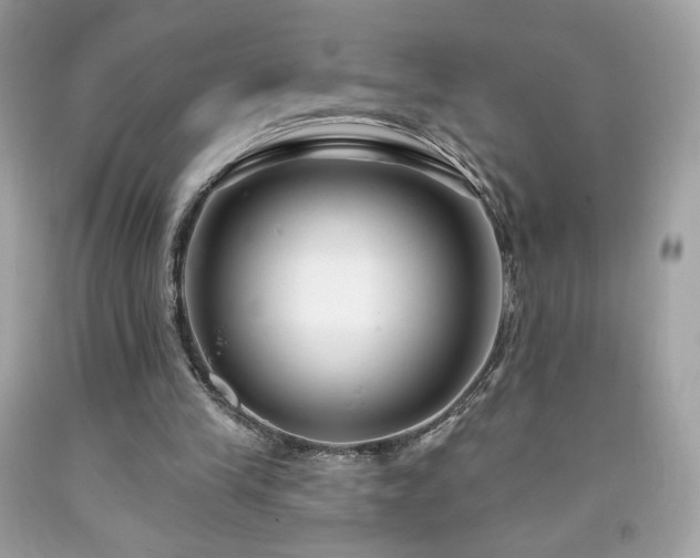 X0000091930245200709121604