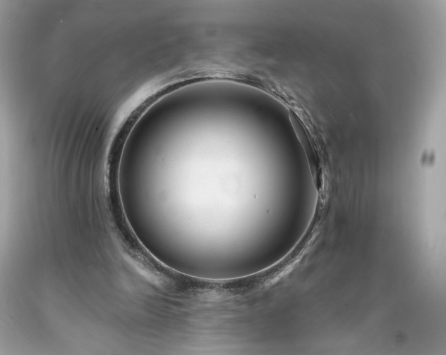 X0000091930246200709121604