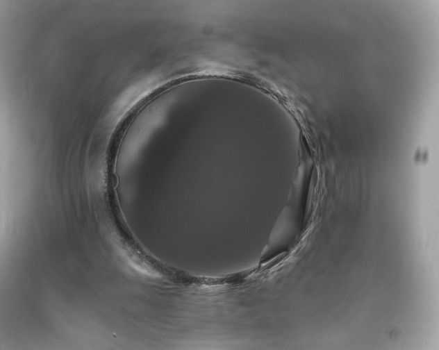 X0000091930247200709121604
