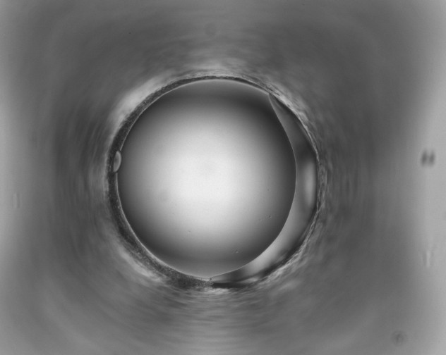 X0000091930248200709121604