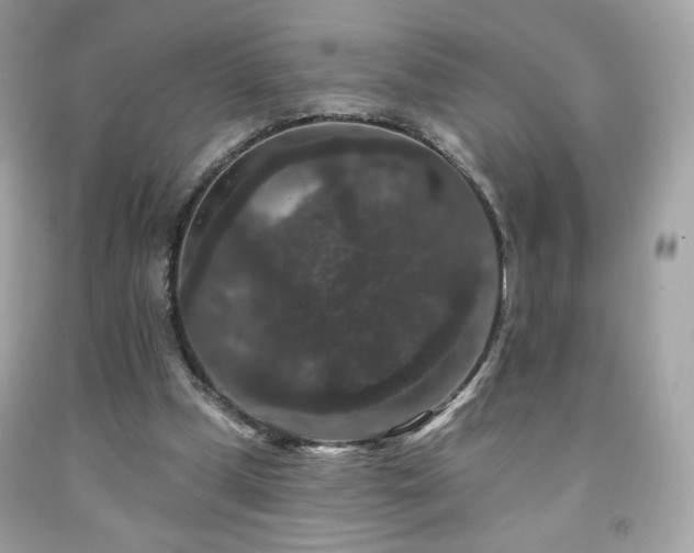 X0000091930249200709121604