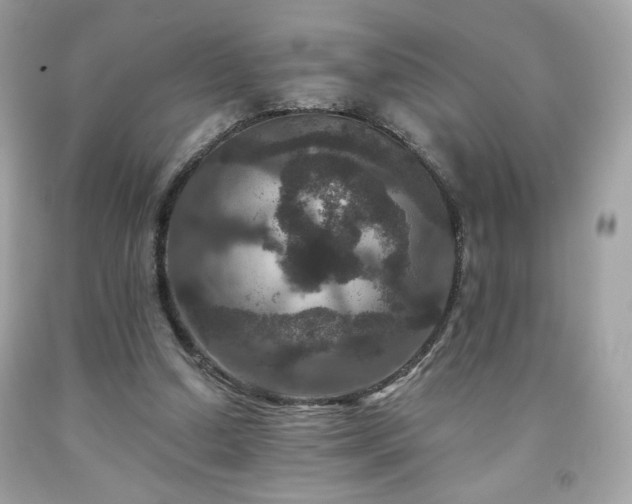 X0000091930250200709121604