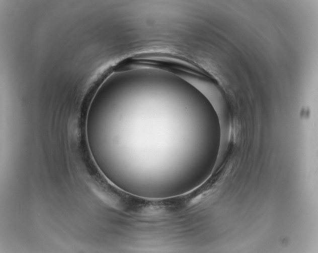 X0000091930252200709121604