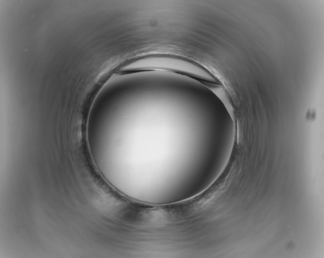 X0000091930253200709121604