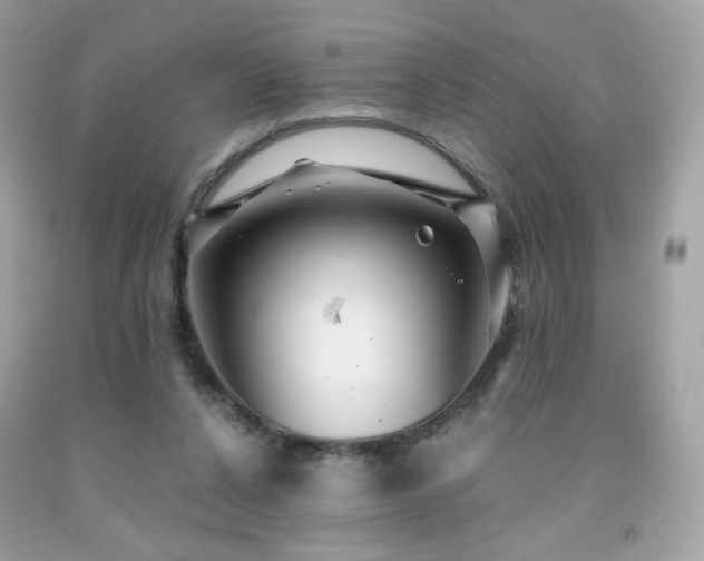 X0000091930256200709121604