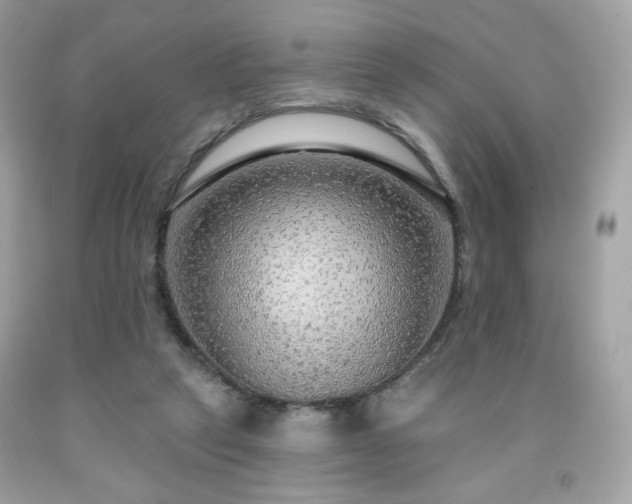 X0000091930257200709121604