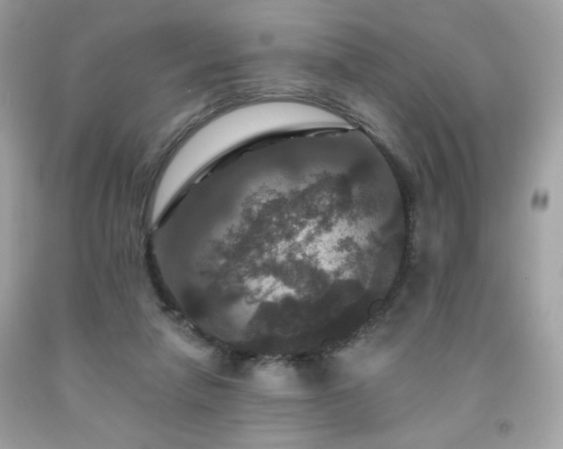 X0000091930258200709121604