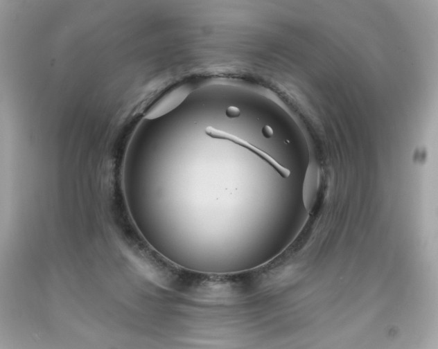 X0000091930260200709121604