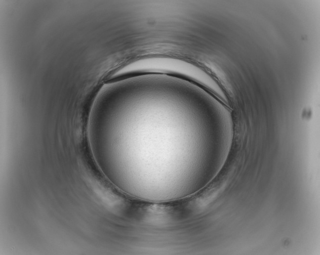 X0000091930261200709121604