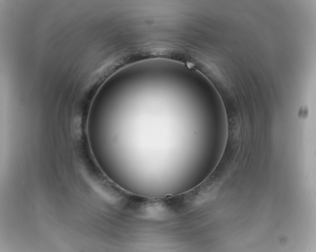 X0000091930262200709121604