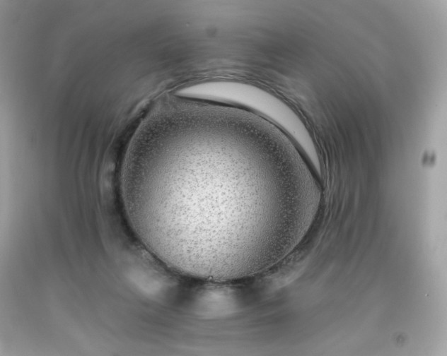 X0000091930263200709121604